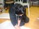 gal/20081202/_thb_PICT_107.jpg