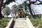 gal/2009040305/_thb__MG_1098.JPG