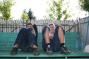 gal/20090610/_thb_IMG_5484.JPG