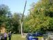 gal/20091003/_thb_DSCI0479.JPG