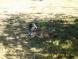 gal/20091003/_thb_DSCI0493.JPG