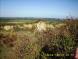 gal/20091003/_thb_DSCI0499.JPG
