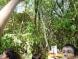 gal/20091003/_thb_DSCI0523.JPG