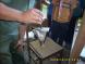 gal/20091003/_thb_DSCI0556.JPG