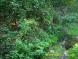 gal/20091003/_thb_DSCI0574.JPG