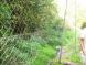 gal/20091003/_thb_DSCI0602.JPG