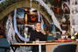 gal/20091119/_thb_IMG_3168.JPG