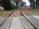 gal/20091223/_thb_DSCI0003.JPG