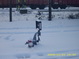 gal/20091223/_thb_DSCI0051.JPG