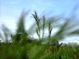 gal/20100417/_thb_DSCI_0050.JPG