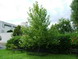 gal/koli/_thb_IMG_0000.jpg