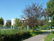 gal/koli/_thb_IMG_0005.jpg