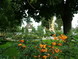 gal/zahony/_thb_DSCF_0019.jpg