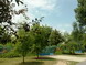 gal/zahony/_thb_DSCF_0030.jpg