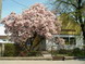 gal/zahony/_thb_DSCF_0032.jpg